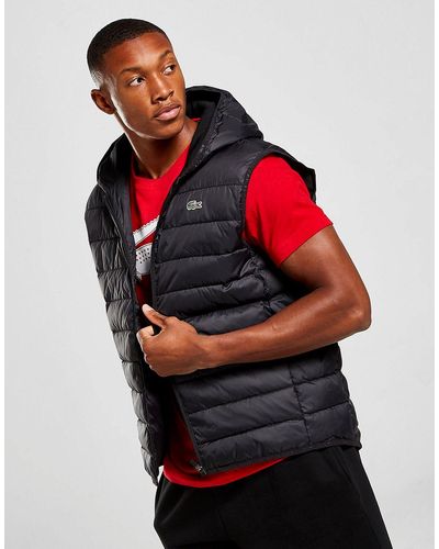 Body 2024 warmer lacoste