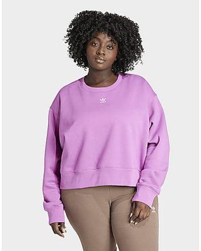 adidas Originals Sweat-shirt ras-du-cou Adicolor Essentials (Grandes tailles) - Violet