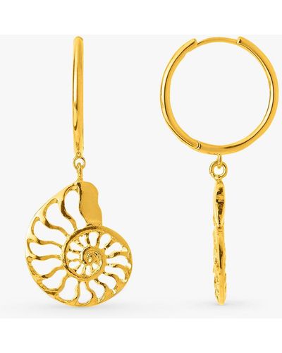 Orelia Statement Open Ammonite Drop Hoop Earrings - Metallic
