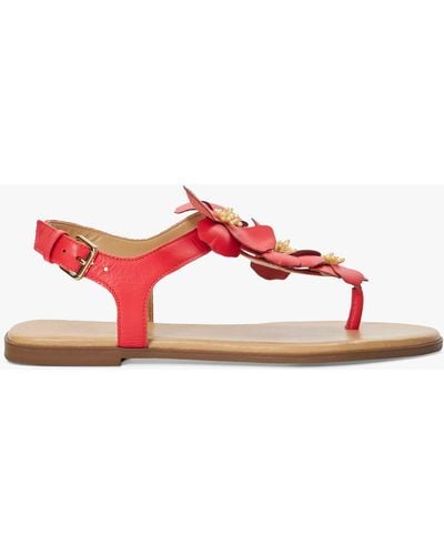 Dune Linaria Flower Leather Sandals - Red