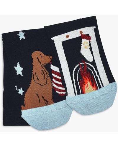 Radley Christmas Dog Sock Set - Blue