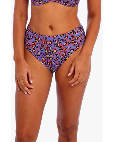 Freya San Tiago Nights Leopard Print High Waist Bikini Bottoms - Blue