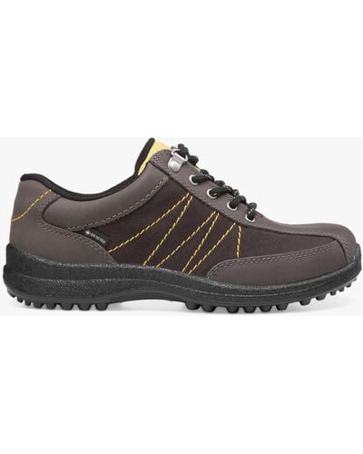 Hotter Mist Gore-tex Walking Shoes - Brown