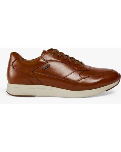 Pod Rainer Leather Trainers - Brown