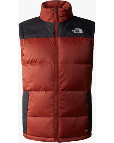 North face mens gilets sale sale