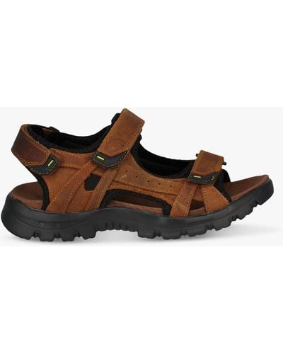 Josef Seibel Bart 04 Leather Strappy Footbed Sandals - Brown