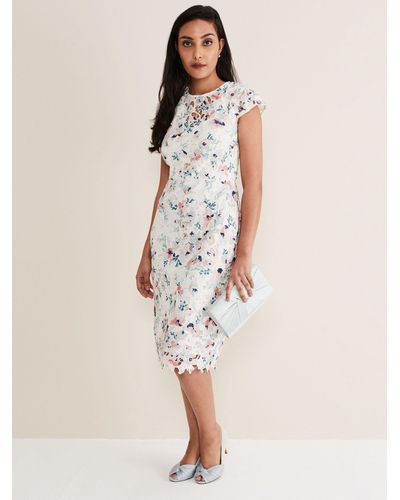 Phase Eight Petite Franky Floral Lace Dress - Natural