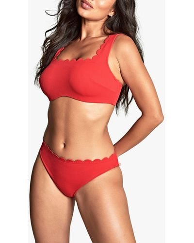 Panache Swim Spirit Classic Bikini Briefs - Red