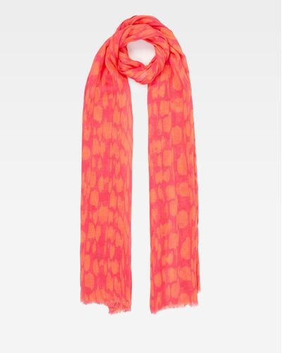French Connection Splodge Print Modal Scarf - Red