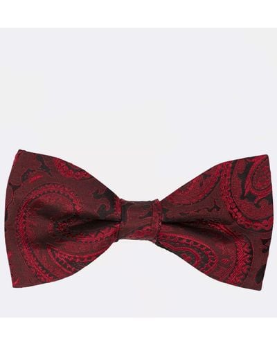 Moss Ready Tied Silk Paisley Bow Tie - Red