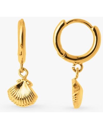 Orelia Shell Drop Huggie Hoop Earrings - Metallic