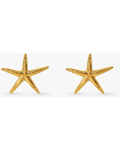 Orelia Large Starfish Stud Earrings - Metallic