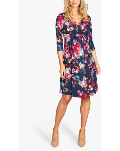 TIFFANY ROSE Willow Floral Maternity Dress - Blue