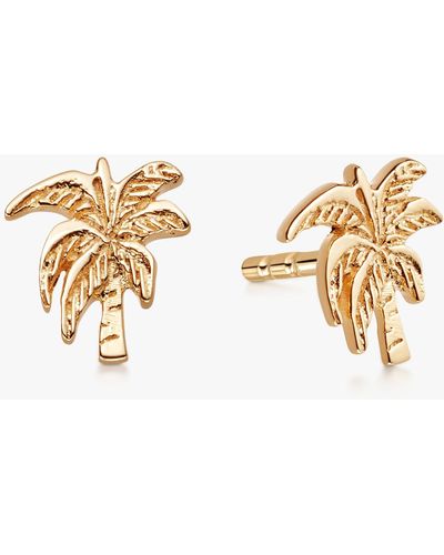 Daisy London Palm Tree Stud Earrings - Metallic