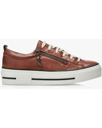 Moda In Pelle Filician Low Top Leather Trainers - Brown