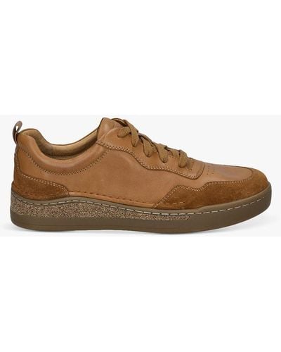 Josef Seibel Cleve 01 Lace Up Trainers - Brown