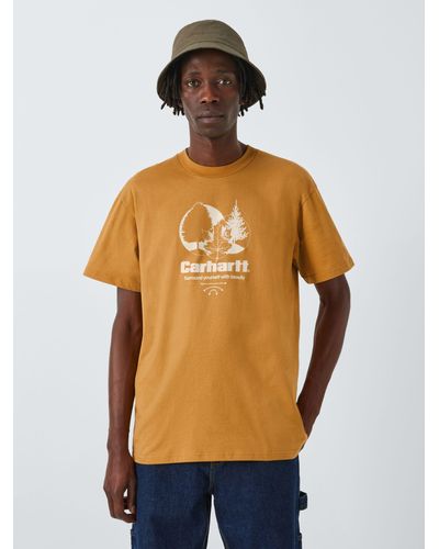 Carhartt Srround Organic Cotton Short Sleeve T-shirt - Orange