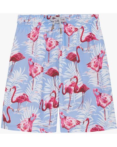 Trotters Flamingo Swim Shorts - Blue