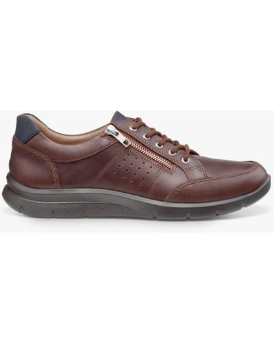 Hotter Finn Sport Style Leather Shoes - Brown