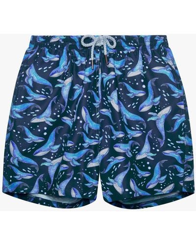 Trotters Whale Swim Shorts - Blue