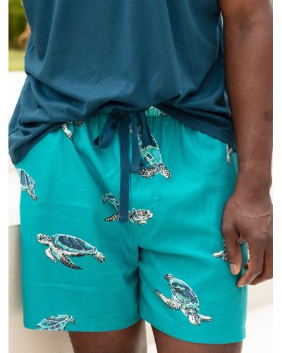 Cyberjammies Turtle Print Pyjama Shorts - Blue