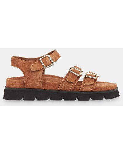 Whistles Jemma Suede Triple Buckle Sandals - Brown