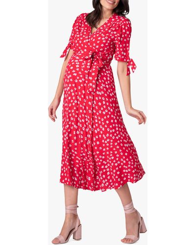 Seraphine Bessie Floral Maternity Dress - Red