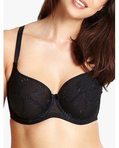 Panache Lingerie for Women, Online Sale up to 40% off