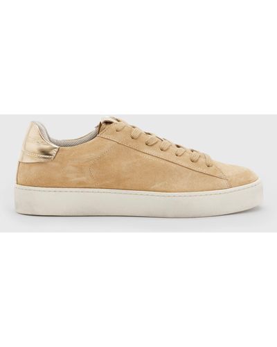 AllSaints Shana Low Top Suede Trainers - Natural