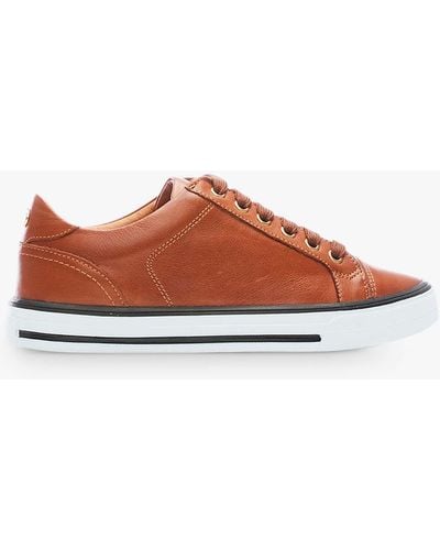 Moda In Pelle Amoreti Leather Low Top Casual Shoes - Brown