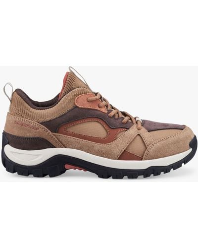 Hotter Surge Waterproof Trail Shoes - Brown