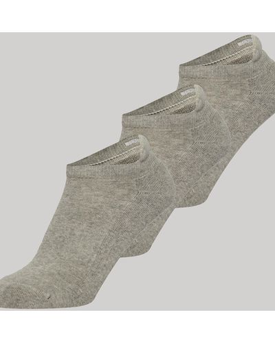 Superdry Organic Cotton Blend Trainer Socks - Grey