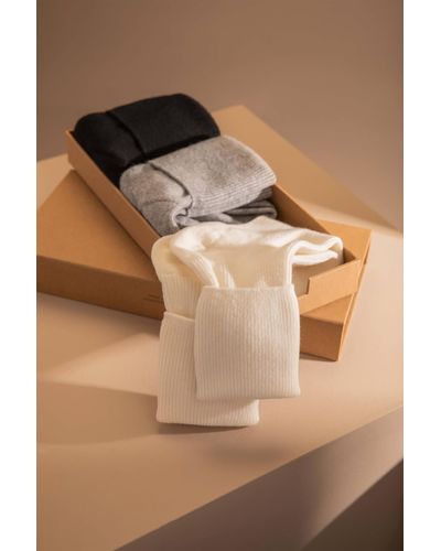 Johnstons of Elgin 'Treat Your Feet' Cashmere Socks Gift Set - Brown
