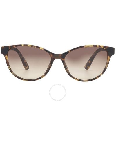 Calvin Klein Cat Eye Sunglasses Ck20517s 235 56 - Black