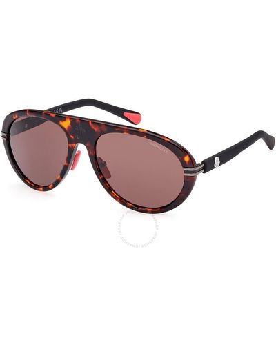 Moncler Red Pilot Sunglasses Ml0240 52e 57