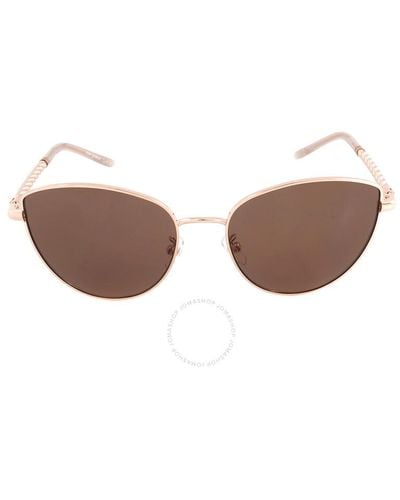 Tory Burch Brown Cat Eye Sunglasses