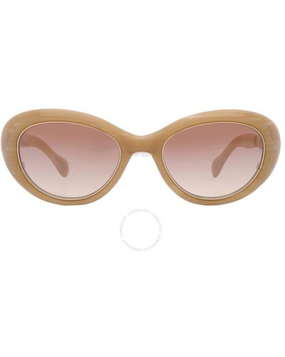 Mr. Leight Selma S Cinnamon Gradient Cat Eye Sunglasses Ml2023 Desa/cing 50 - Brown
