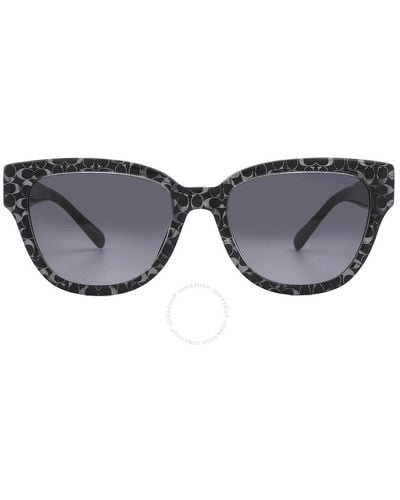COACH Grey Gradient Butterfly Sunglasses Hc8379u 55208g 54