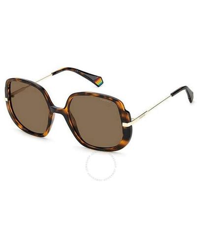 Polaroid Bronze Butterfly Sunglasses Pld 6181/s 0086/sp 53 - Brown