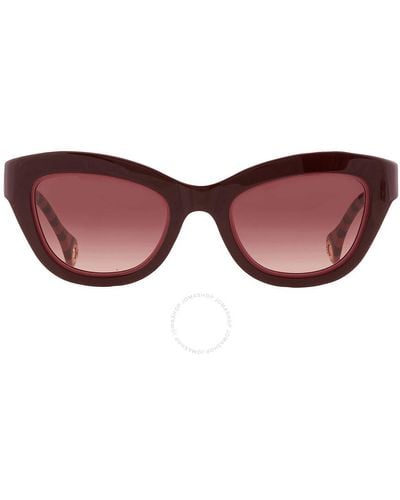 Carolina Herrera Burgundy Shaded Cat Eye Sunglasses Her 0086/s 00t5/3x 51 - Red