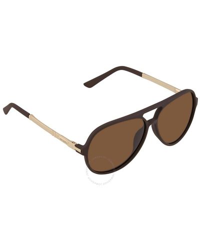 Simplify Spencer Pilot Sunglasses Ssu120-gd - Brown