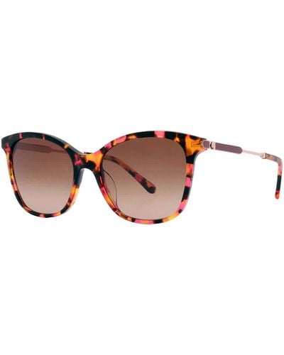 Kate Spade Gradient Butterfly Sunglasses Dalila/s 0086/ha 54 - Brown