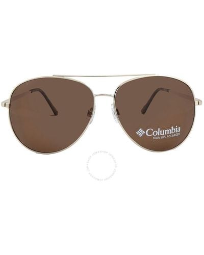 Columbia Canyons Bend Brown Pilot Sunglasses C104sp 710 60