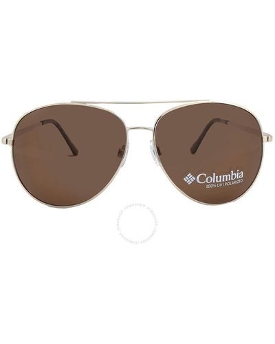 Columbia Canyons Bend Brown Pilot Sunglasses C104sp 710 60 - Black