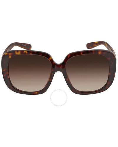COACH Gradient Square Sunglasses Hc8323u 51203b 56 - Brown