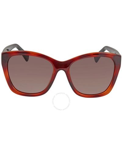 Ferragamo Brown Cat Eye Sunglasses Sf957s 214