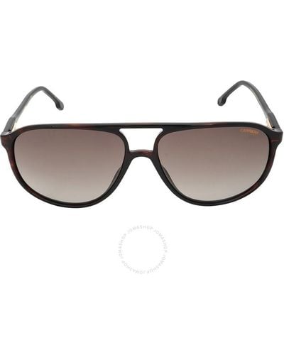 Carrera Gradient Pilot Sunglasses 257/s 0086/ha 60 - Brown