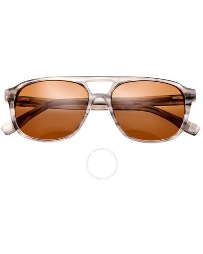 Simplify Torres Acetate Sunglasses - Brown
