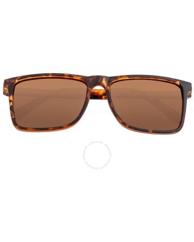 Breed Tortoise Square Sunglasses - Brown