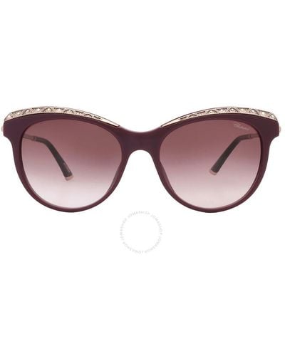 Chopard Brown Gradient Cat Eye Sunglasses Sch271s 09fd 55